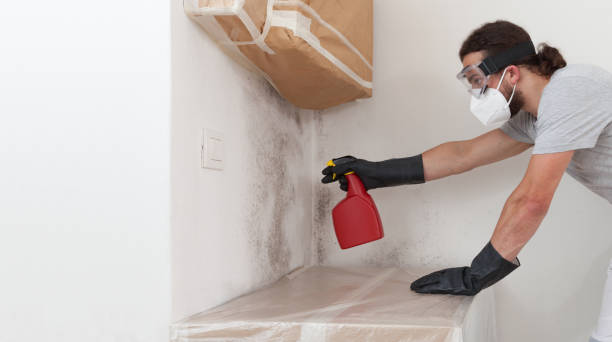 Professional Basement Mold Removal technician working in Barnesville, MN