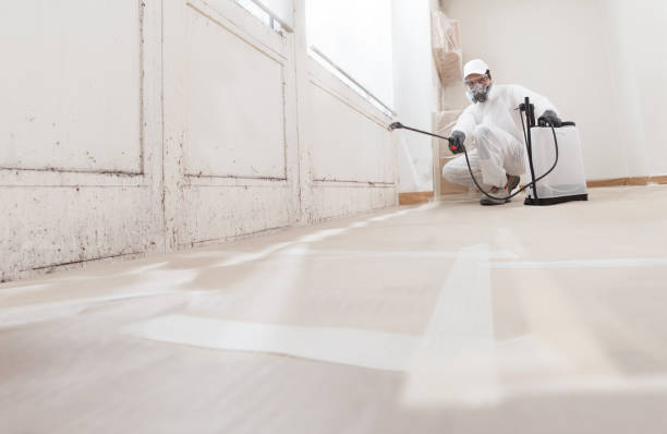 24/7 Emergency Basement Mold Removal experts in Barnesville, MN